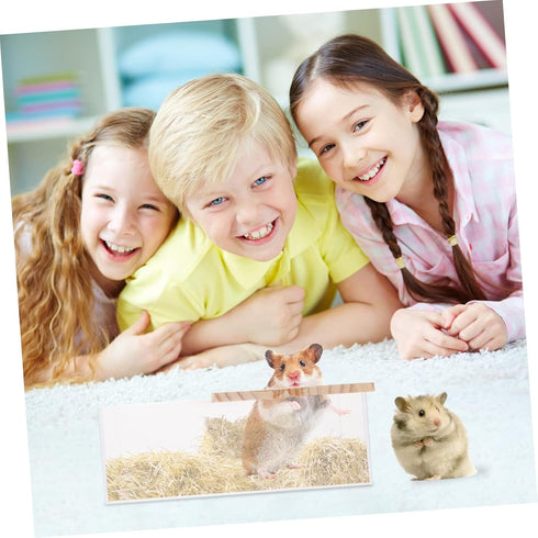 STOBOK 1pc Box Hamster Sandbox Cage Animal Toy Train Toys Small Container Bath Stuff Gerbil Shelf Water Clear Hamster