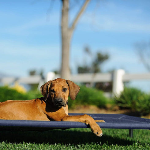 Veehoo Portable Cooling Elevated Dog Bed, Large Raised Pet Cot with Washable Breathable Mesh & No-Slip Feet