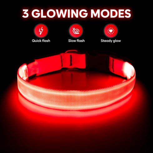 Illumifun LED Dog Collar, Adjustable Light Up Safety Pet Collar (Red, Small)