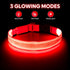 Illumifun LED Dog Collar, Adjustable Light Up Safety Pet Collar (Red, Small)