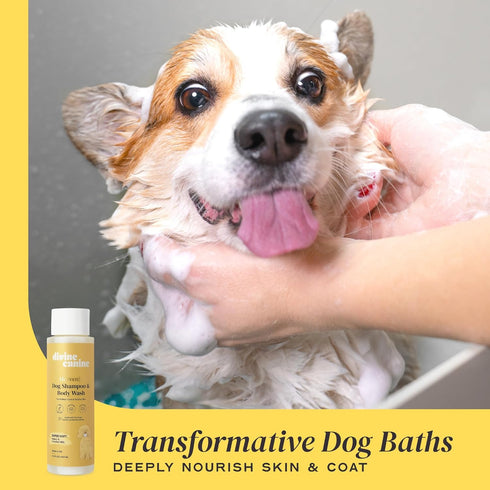 Heavenly Dog Shampoo & Conditioner - Deep Conditioning Wash for Clean, Soft, Healthy Skin & Fur, 13.5 oz