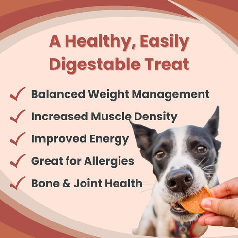 Dog Training Treats - Turkey Chips, Single Ingredient, All Natural, Healthy for Small, Medium, Large Breeds
