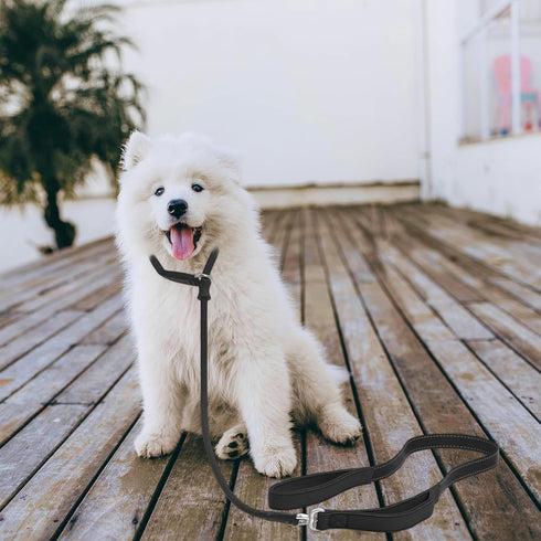 Slip Lead Dog Leash with Double Handle, Reflective Heavy Duty Nylon Slip Leash for Large Medium Small Dogs, 5FT Black