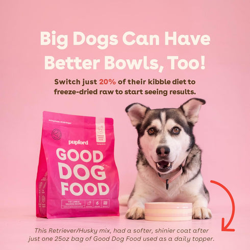 16 oz) Pupford Good Dog Food, Freeze-Dried Raw, High-Protein, Superfood Ingredients, Vet-Approved, No Fillers