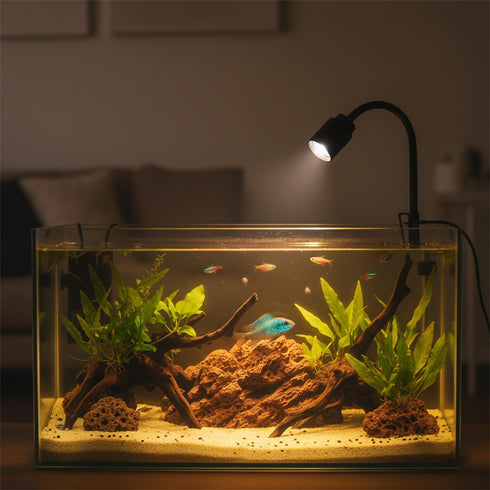NiuXTool 1590 Dimming Zoom Mini Aquarium Spotlight with Timer Gooseneck Clip-On Lamp, Zoom Beam, Tri-Color White/Warm