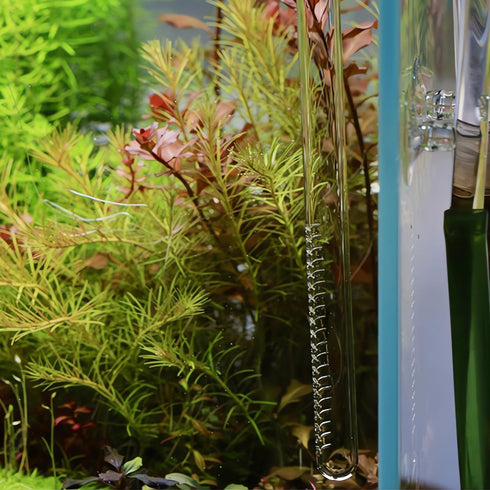 Glass Lily Pipe Inflow & Violet Outflow - Aquarium Planted Tank Aquascaping (17mm for 16/22mm tubing)