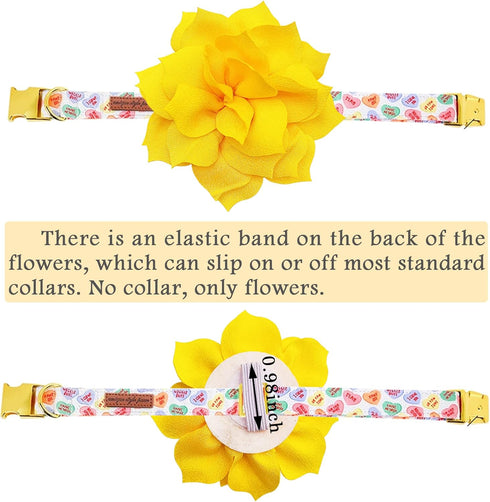 PET SHOW Small Dog Collar Charms, Bowties for Cats, Rabbits, Slide on Puppies, Medium Dog Collars, Flower Bows