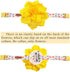 PET SHOW Small Dog Collar Charms, Bowties for Cats, Rabbits, Slide on Puppies, Medium Dog Collars, Flower Bows