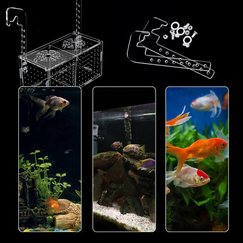 Acrylic Fish Breeding Box for Aquarium - Transparent Hatchery Divider with Suction Cups for Fishes, Shrimp, Guppy (7.2"