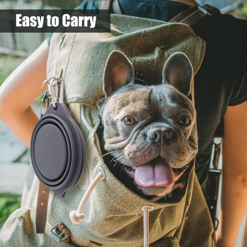 SLSON Collapsible Dog Bowls, Integrated Molding Double Bowl, 2 in 1 Foldable Pet Food & Water Bowl for Walking, Hiking
