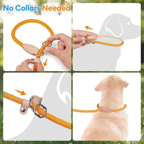 Grand Line Slip Lead Dog Leash - 5FT Reflective Slip Rope for Puppy Training, Purple, Small (1/4in x 5ft)