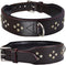 Genuine Leather ‘Cupola’ Series Dog Collar, Rhinestone, Soft Cushion Padding, Handmade (M, Neck Size 14.5"-18.5",