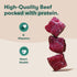 32oz Jinx Oven-Baked Beef Bone Broth Mini Biscuit Dog Treats - Crunchy, All Natural, Superfood-Rich with Grass-Fed