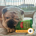 Felix & Fido Funny Dog Toys - Potato Chip Bag Plush Squeaker for Small & Medium Dogs - Spicy Bark