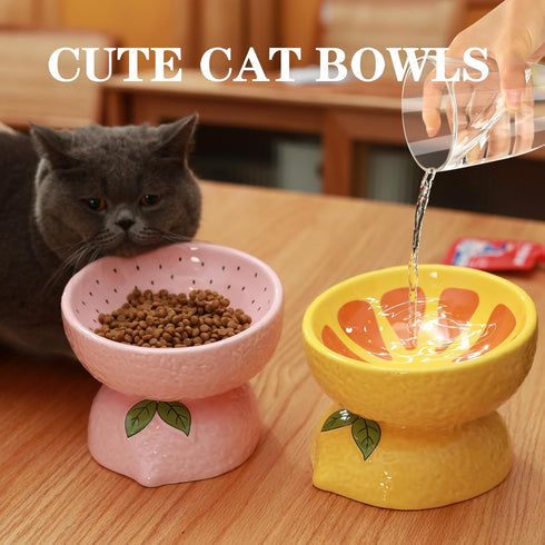 Cat Food Bowl Whisker Friendly, Ceramic Raised Bowl for Indoor Cats, Extra Wide Tilted Dish in Pink