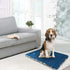 KROSER Fancy Dog Crate Pad - Reversible Dog Bed Mat with Machine Washable for Small to XXX-Large Dogs, Grey, Navy, Star