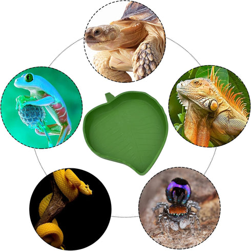 Leaf Shape Reptile Food Water Bowl, 2 Pieces Reptile Plate Dish for Tortoise, Corn Snake, 2 Sizes
