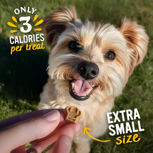 6 oz (Pack 8) Blue Dog Bakery Perfect Trainers, Mini Dog Training Treats, Soft & Chewy, Made w/USA Beef, Healthy