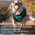 Dog Balls for Aggressive Chewers, Indestructible Floating Bouncy Balls, Lightweight Chew Balls, Fetch Balls for Large &