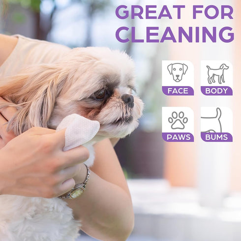 PrimePets Dog Wipes for Paws and Butt - 100 Count, 8" x 8" Lavender Scented Extra Thick Wipes for Sensitive Skin