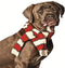 Chilly Dog White/Red Pet Scarf, Medium Size