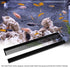 Tnfeeon Aquarium Weir Comb, 320mm Length Aquarium Weir Comb Marine Sump Fish Tank Refugium for Avoid Fish Overflow
