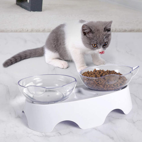 MILIFUN Elevated Tilted Cat Food Bowls, Anti Vomiting Orthopedic Bowls for Puppy and Bunny