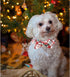 Dog Collar, Christmas Plaid Pet Collar Bow, Holiday Adjustable Collar for Medium Dogs