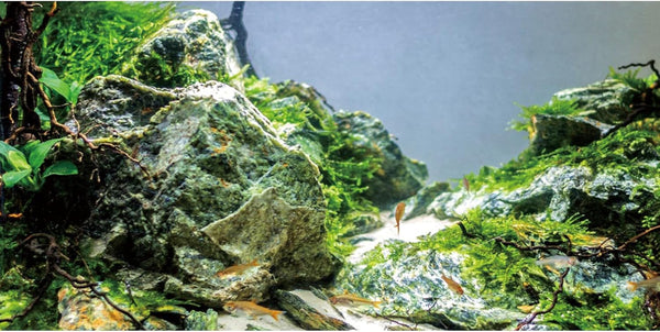AWERT 48x20 inches Aquarium Background - Stone Vinyl Background for Aquatic Plants and Fish Tanks