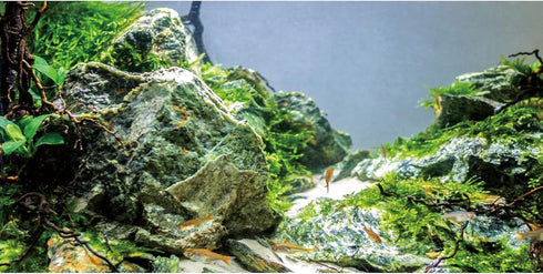 AWERT 24x16 inches Stone Aquarium Background, Aquatic Plant River Bed & Lake Vinyl Background