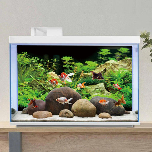AWERT 48x18 inches Aquarium Background, Seaweed Background for Aquatic Plant Stone River Bed & Lake Fish Tank