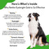 Pet Wellbeing Nettle-Eyebright Gold for Dogs - Natural Herbal Supplement for Allergies, 2 oz