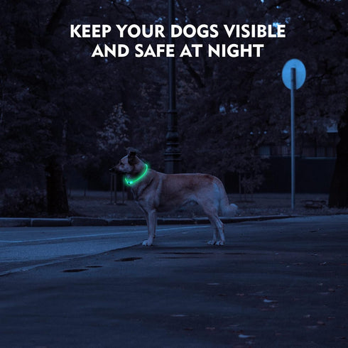 LED Dog Collar | Rechargeable Light Up Collars, IP67 Waterproof for Night Walking, Adjustable for All Dogs (Green)