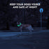 LED Dog Collar - Rechargeable Light Up Collars, IP67 Waterproof Dog Lights for Night Walking, Adjustable Safety