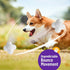 Durable Dog Chew Balls for Aggressive Chewers - Atom Teething Toys for Medium and Large Dogs, 3 Pack