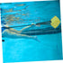 Swimming Equipment Suite - Training Cord Fitness Resistance Bands, Sports Belt, Swim Gear, Training Accessories