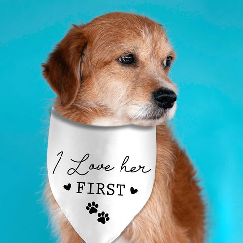 I Loved Her First Wedding Dog Bandana, Engagement Valentine's Pet Scarf Bibs for Wedding Photo Props