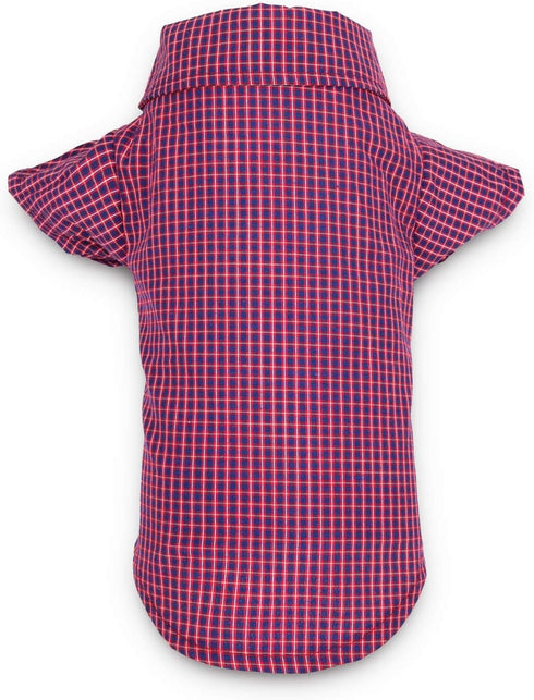 DroolingDog 3 Pack Plaid Dog Shirts - Small Dog T-Shirt with Checked Pattern, Puppy Button Up Tee, Black White Rose Blue
