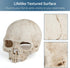 Uniclife Aquarium Skull Reptile House Decor, Resin Head Skeleton Ornament for Tank Landscape