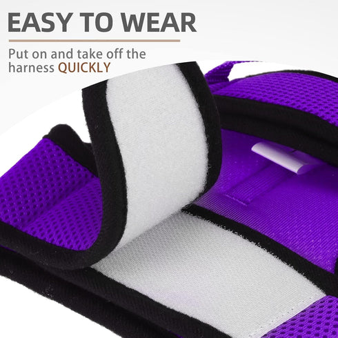 PUPTECK Soft Mesh Cat Vest Harness and Leash Set, Escape Proof Puppy Padded Pet Harnesses for Small Dogs, Purple Small