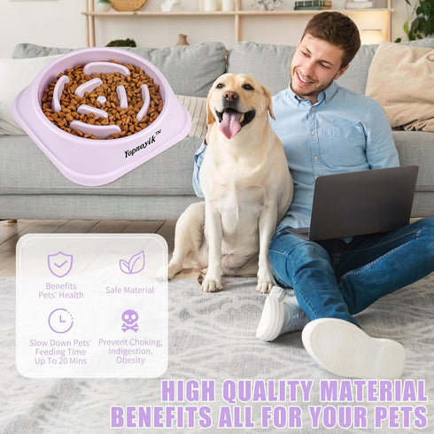 Slow Feeder Dog Bowls, Anti-Slip Maze Puzzle Feeding Bowls, Interactive Dog Food Bowls for Small and Medium Dogs and