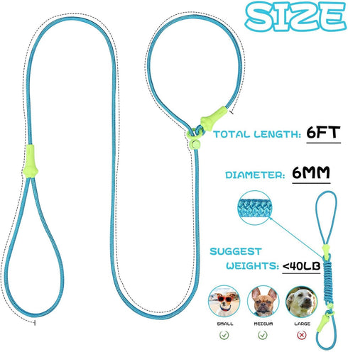 DaFuEn 6 FT Lightweight Dog Slip Lead, Classic Training Leash for Small Medium Puppies, No-Pull Slip Leash and Collar
