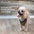 Parisian Pet Adjustable Leopard Print Dog Harness - 100% Mesh Fabric Vest for Medium Sized Dogs and Outdoor Adventures