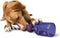 PetSafe Busy Buddy Tug-A-Jug Meal-Dispensing Dog Toy for Kibble or Treats