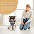 Etdane Dog Diapers Sanitary Panties for Male and Female Dogs, Physiological Period Shirts, Blue/X-Small