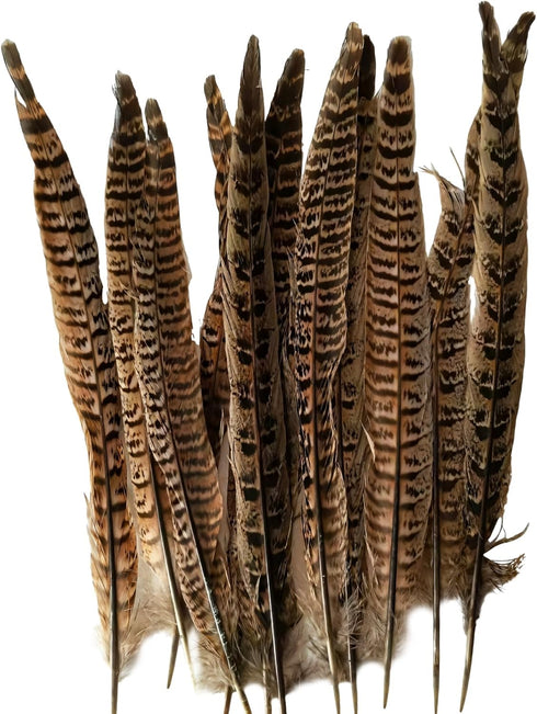 Generic 24 Natural Pheasant Feather Cat Toys, Wooden Handle Interactive Pet Teasers, Fun Exercise and Play Tools