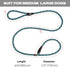 TwoEar Dog Leash Slip Lead - 1/2" x 6FT Reflective Durable Training Leash for Medium & Large Dogs, Blue