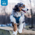 Best Pet Supplies No Pull Harness - All Weather Mesh, Reflective for Small, Medium Dogs, Cats - Turquoise, XXS