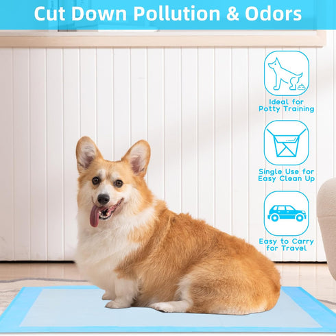 FluffyDream Waterproof Dog Training Pad, Super Absorbent Housebreaking Pet Pad, Blue (30"X30", 100PCS)