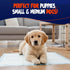 Brooklyn Pet Gear 50 Count 22"x22" BPG Ultra Absorbent Pet & Puppy Pads Pee Pads for Dogs, Disposable Leak Proof Dog